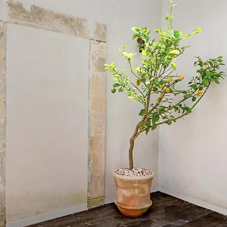 Palazzo Cala Iusu Apartament